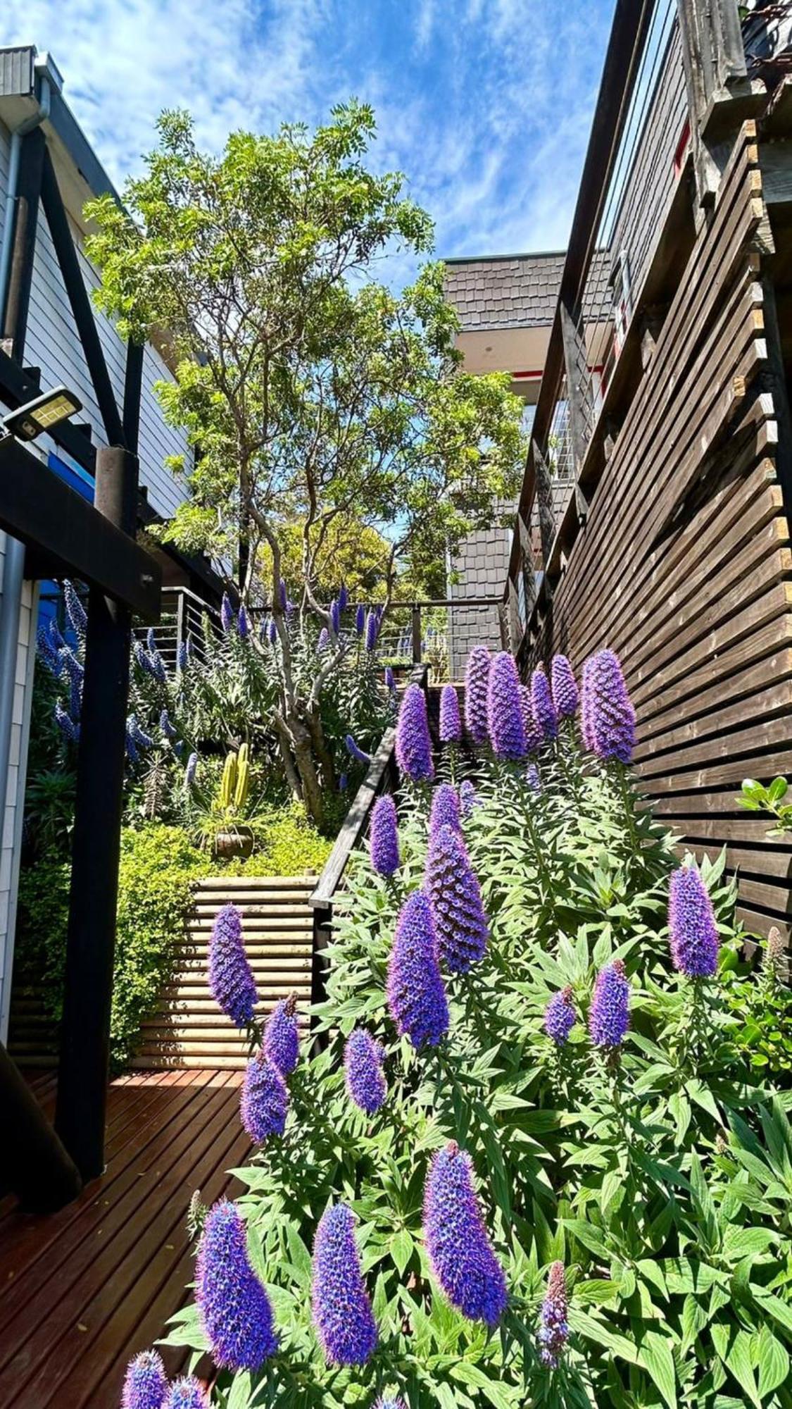 Lofts - Casa El Pangue, Zapallar Dış mekan fotoğraf