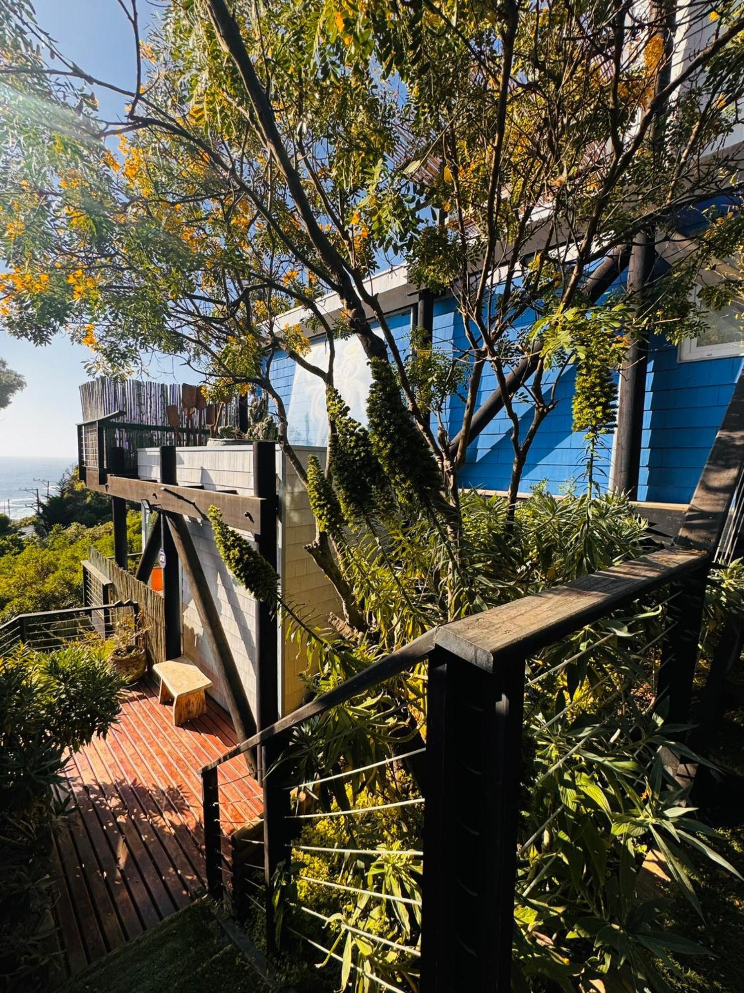 Lofts - Casa El Pangue, Zapallar Dış mekan fotoğraf